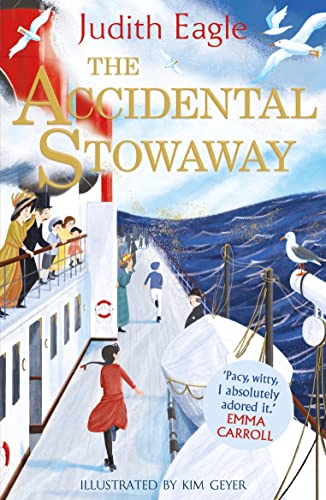 The Accidental Stowaway book cover