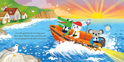Lights and Sounds Emergency Vehicles