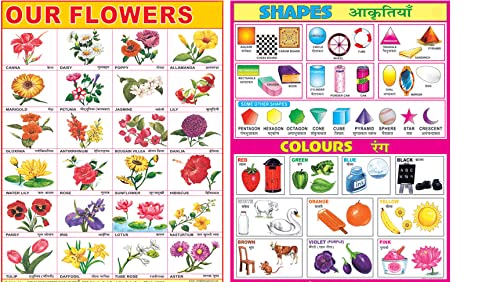 Early Learning Educational Charts Set For Kids|Set Of 11|Non-Tearable & Waterproof|Double Sided Laminated|Billingual Charts In English & Hindi|Perfect For Homeschooling And Nursery Students