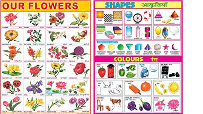 Early Learning Educational Charts Set For Kids|Set Of 11|Non-Tearable & Waterproof|Double Sided Laminated|Billingual Charts In English & Hindi|Perfect For Homeschooling And Nursery Students