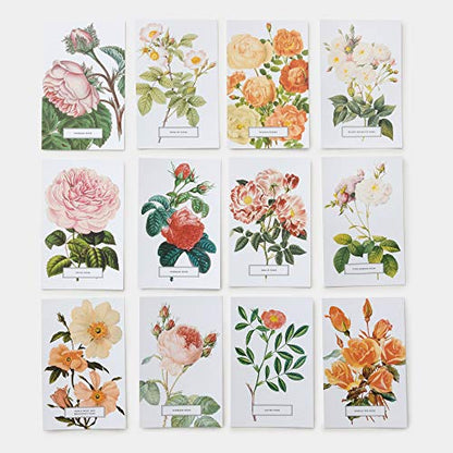 Roses: 100 Postcards from the Archives of The New York Botanical Garden