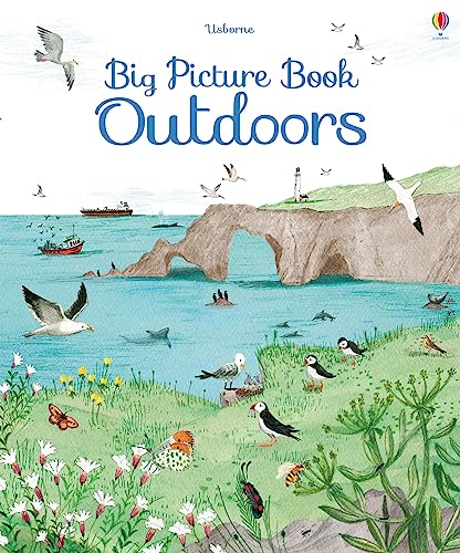 BIG PICTURE BOOK OUTDOORS book cover