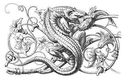Fantastic Ornaments: A Pictorial Archive from Nineteenth-century Sources