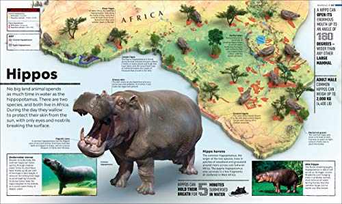 What's Where on Earth? Animal Atlas: The World's Wildlife as You've Never Seen it Before (DK Where on Earth? Atlases)