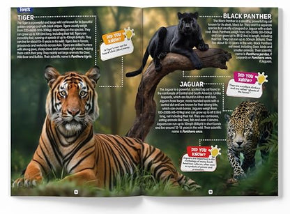 Explore Fantastic World of Animals Picture Encyclopedia