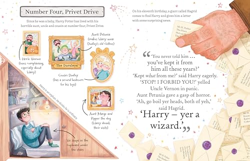 Harry Potter: The must-have Christmas stocking filler for Potter fans! (Pocket Potters – Little Guides to the HARRY POTTER Stories)