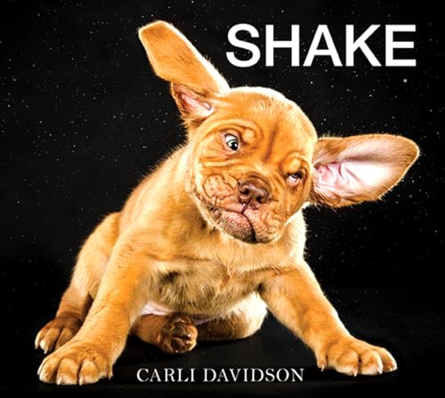 Shake book cover