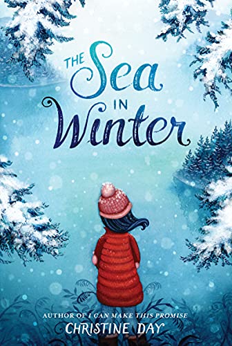 Sea in Winter, The book cover