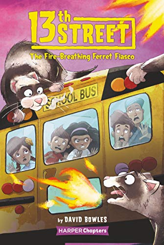 13Th Street #2: The Fire-Breathing Ferret Fiasco book cover