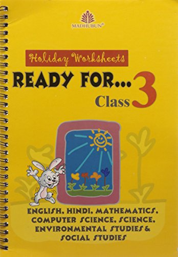 Holiday Worksheet (Combined) - Class 3 book cover