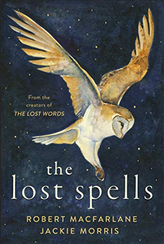The Lost Spells (Lead Title) book cover