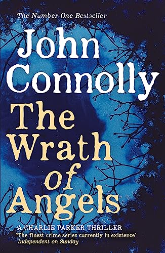 THE WRATH OF ANGELS book cover