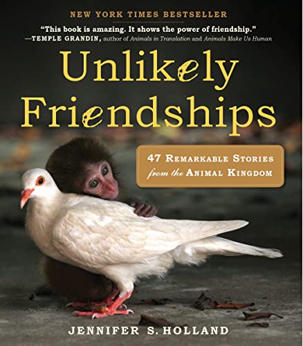 Unlikely Friendships book cover