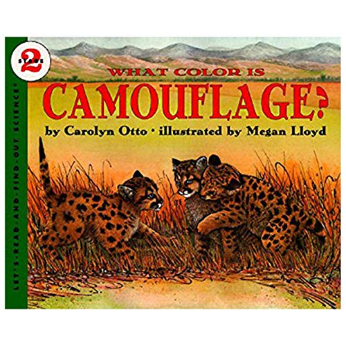 WHAT COLOR IS CAMOUFLAGE book cover