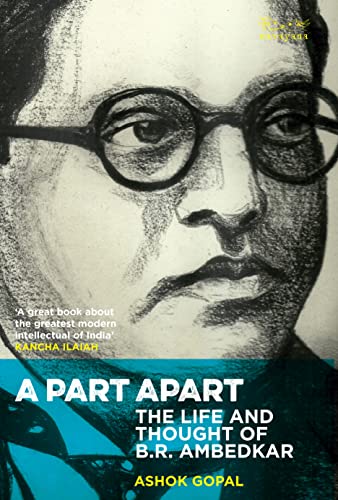 A Part Apart: The Life and Thought of B.R. Ambedkar book cover
