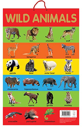 Wild Animals - Early Learning Educational Posters : Perfect For Kindergarten, Nursery and Homeschool book cover