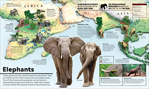 What's Where on Earth? Animal Atlas: The World's Wildlife as You've Never Seen it Before (DK Where on Earth? Atlases)