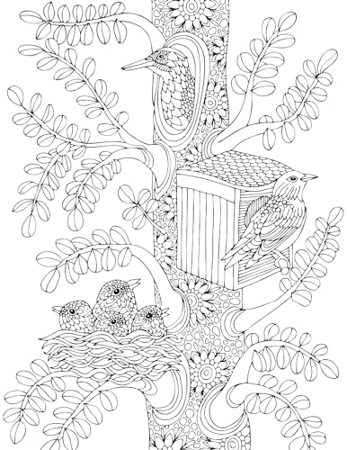 Nature Adult Colouring Book for Peaceful Creativity and Stress Relief | Beautiful Designs Inspired by Flowers, Birds, Butterflies & More for Relaxation and Mindful Expression