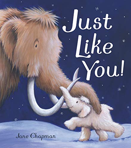 Just Like You! book cover