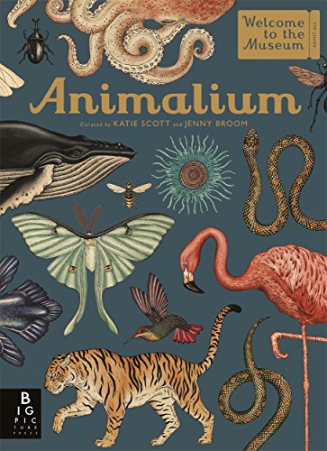 ANIMALIUM book cover