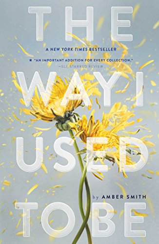 The Way I Used to Be book cover