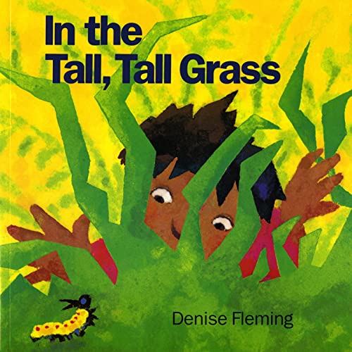 In the Tall, Tall Grass (An Owlet Book) book cover