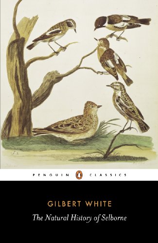 Natural History Of Selborne book cover