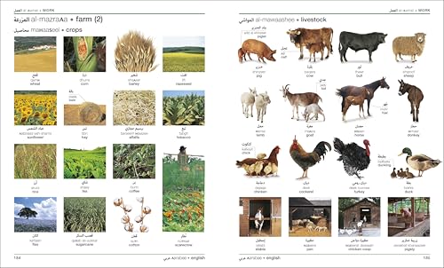 Arabic English Bilingual Visual Dictionary