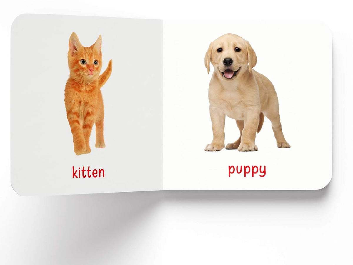 My First Book of Baby Animals | First Animal Board Book for Babies, Toddlers & Preschoolers | Learn About Cute Baby Animals with Bright, Adorable Pictures | Early Learning Book for Kids Ages 0-3 Years