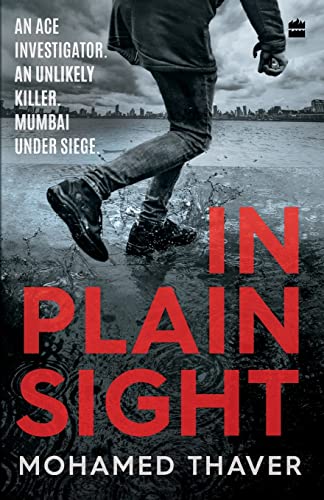 In Plain Sight book cover