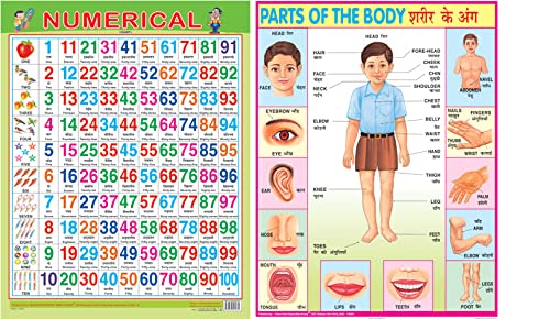 Early Learning Educational Charts Set For Kids|Set Of 11|Non-Tearable & Waterproof|Double Sided Laminated|Billingual Charts In English & Hindi|Perfect For Homeschooling And Nursery Students