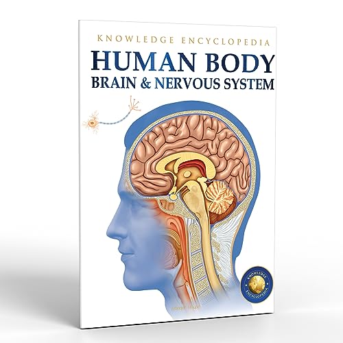 Human Body - Brain And Nervous System: Knowledge Encyclopedia For Children book cover
