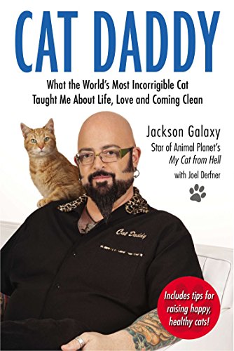 Cat Daddy book cover