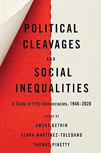 POLITICAL CLEAVAGES AND SOCIAL INEQUALITIES book cover
