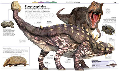 Knowledge Encyclopedia Dinosaur! An Illustrated Encyclopedia for Kids on Dinosaurs Extinction, Fossils, Prehistoric Life & Evolution