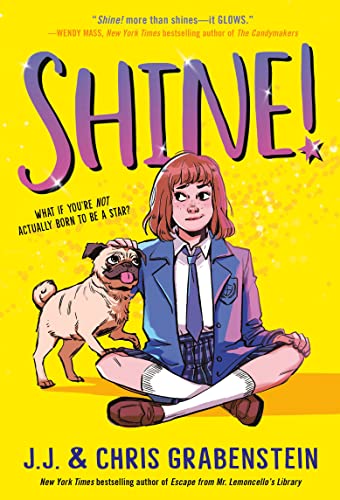 Shine! book cover