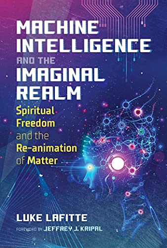 MACHINE INTELLIGENCE AND THE IMAGINAL REALM book cover