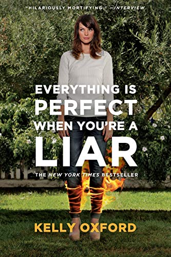EVERYTHING IS PERFECT WHEN YOU RE A LIAR book cover