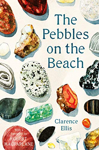 The Pebbles on the Beach book cover