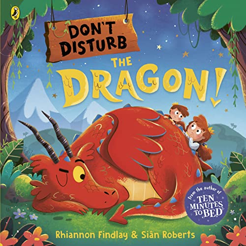 Dont Disturb the Dragon book cover