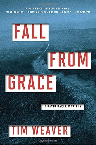 Fall from Grace (A David Raker Mystery) book cover