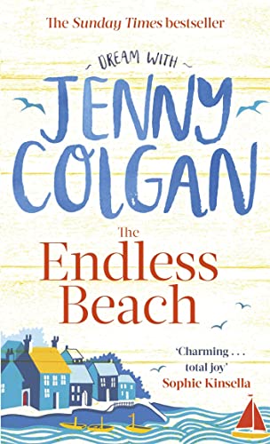 THE ENDLESS BEACH book cover