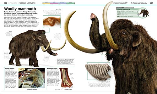 Knowledge Encyclopedia Dinosaur! An Illustrated Encyclopedia for Kids on Dinosaurs Extinction, Fossils, Prehistoric Life & Evolution