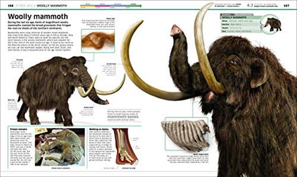 Knowledge Encyclopedia Dinosaur! An Illustrated Encyclopedia for Kids on Dinosaurs Extinction, Fossils, Prehistoric Life & Evolution