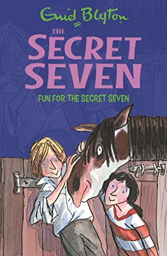 Fun For The Secret Seven: 15 book cover