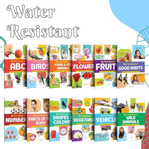 My First Picture Book Collection For Early Learning : Books For Children, Learning Picture Library For Kids, Toddler book, Early learning book With 12 Topics