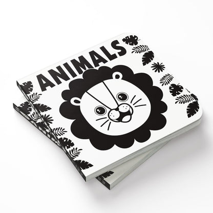 Baby’s First High-Contrast Books – Box Set of 5: Black and White Board Books for Newborns | Includes 123, Toys, Animals, Shapes & Bedtime | Visual Stimulation for Infant Brain Development | Ages 0–12 Months