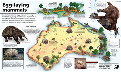 What's Where on Earth? Animal Atlas: The World's Wildlife as You've Never Seen it Before (DK Where on Earth? Atlases)