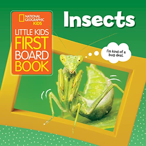 Little Kids First Board Book: Insects book cover