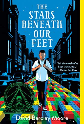 The Stars Beneath Our Feet book cover